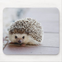Schattige Egel, Muismat