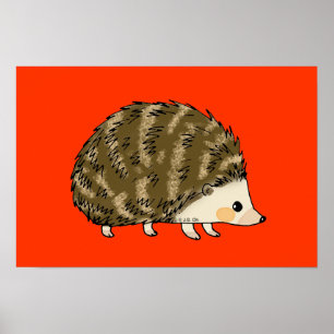 Schattige egel poster