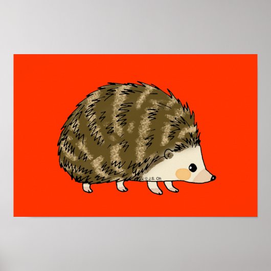 Schattige egel poster (Voorkant)