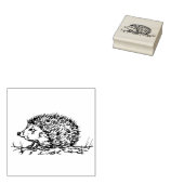 Schattige egel rubberstempel (Gestempeld)