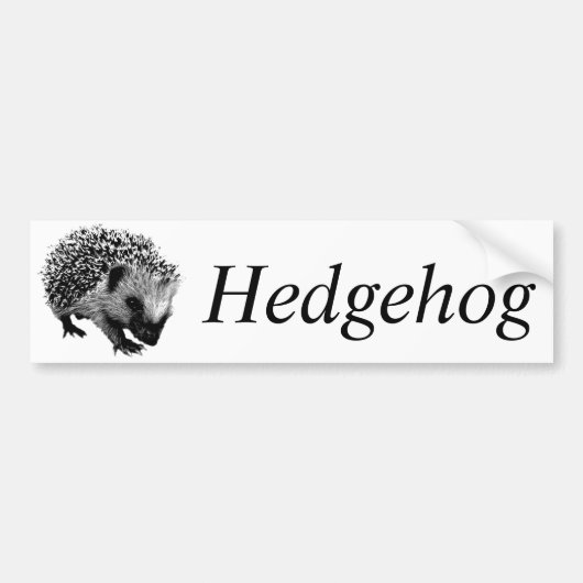 Schattige egel. Wildlife Digital Engraving Bumpersticker (Voorkant)