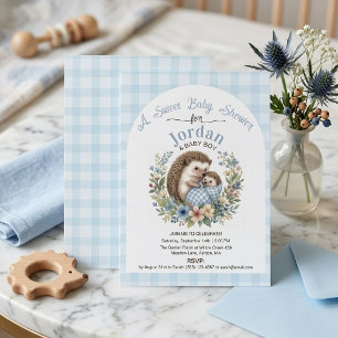 Schattige Egel Zoete Baby Shower Blauwe Gingham Kaart