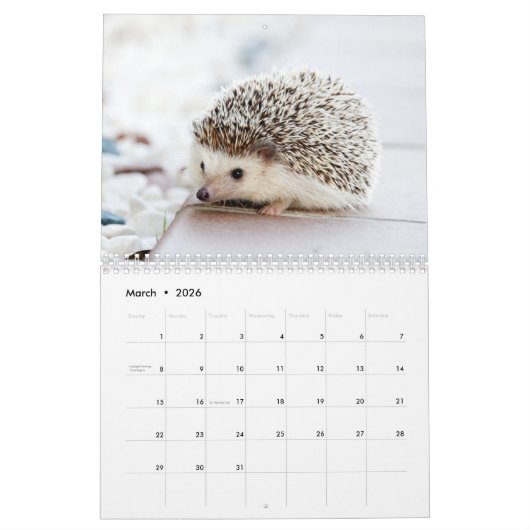 Schattige egels 2026 kalender (Mar 2026)