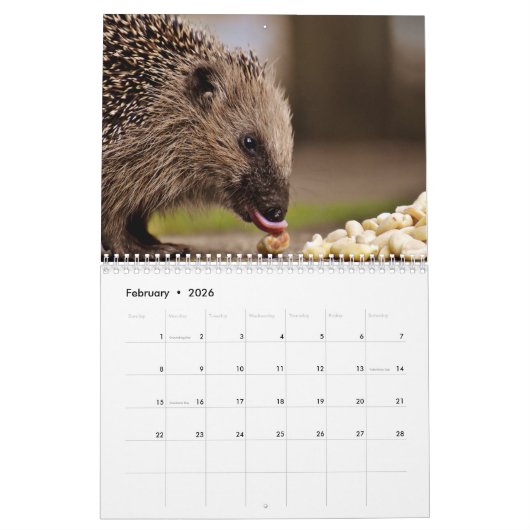 Schattige egels 2026 kalender (Feb 2026)