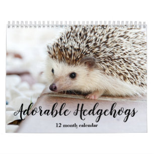 Schattige egels 2026 kalender