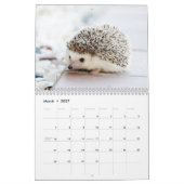 Schattige egels 2026 kalender (Mar 2027)