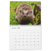 Schattige egels 2026 kalender (Jan 2027)