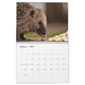Schattige egels 2026 kalender (Feb 2027)