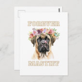 Schattige en Grappig Engels Mastiff Dog met Flower Briefkaart (Voorkant / Achterkant)