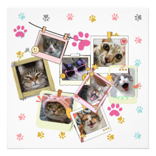 Schattige en grappig kat collage ontwerp foto afdruk