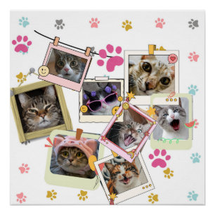 Schattige en grappig kat collage ontwerp perfect poster