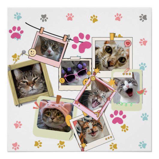 Schattige en grappig kat collage ontwerp perfect poster (Voorkant)