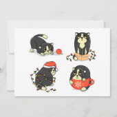 Schattige en grappige kerstkatten feestdagenkaart (Voorkant)