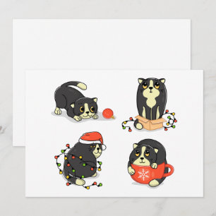 Schattige en grappige kerstkatten feestdagenkaart