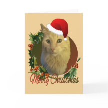 Schattige en unieke kat Kerstkaart