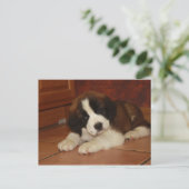 Schattige en zoete Bernard Puppy Briefkaart (Staand voorkant)