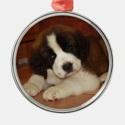 Schattige en zoete Bernard Puppy Metalen Ornament (Voorkant)