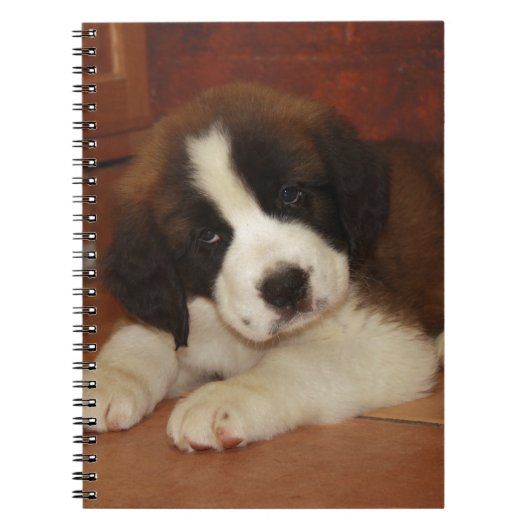 Schattige en zoete Bernard Puppy Notitieboek (Voorkant)