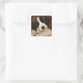 Schattige en zoete Bernard Puppy Vierkante Sticker (Tas)