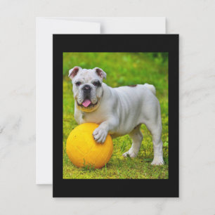 Schattige Engels Bulldog Basketbal Bulldog Lover G Bedankkaart
