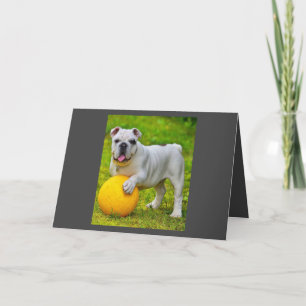 Schattige Engels Bulldog Basketbal Bulldog Lover G Feestdagen Kaart