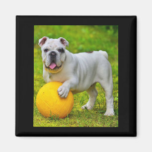 Schattige Engels Bulldog Basketbal Bulldog Lover G Magneet