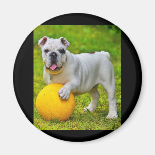 Schattige Engels Bulldog Basketbal Bulldog Lover G Magneet