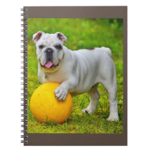 Schattige Engels Bulldog Basketbal Bulldog Lover G Notitieboek