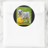 Schattige Engels Bulldog Basketbal Bulldog Lover G Ronde Sticker (Tas)