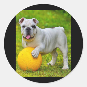 Schattige Engels Bulldog Basketbal Bulldog Lover G Ronde Sticker