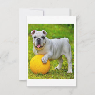 Schattige Engels Bulldog Basketbal Bulldog Lover G RSVP Kaartje