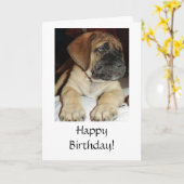 Schattige Engels Mastiff Puppy foto - Happy Birthd Kaart (Gele Bloem)