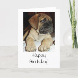 Schattige Engels Mastiff Puppy foto - Happy Birthd Kaart
