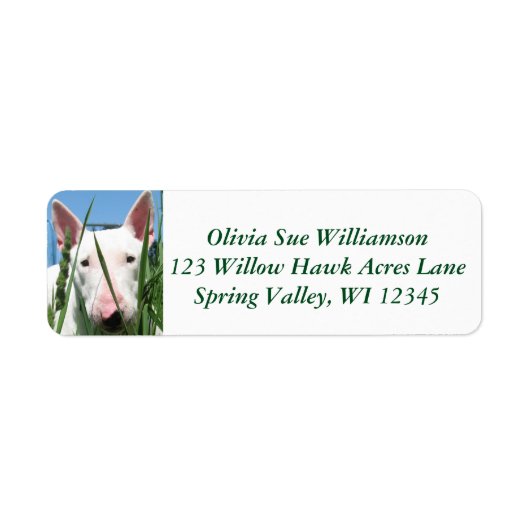 Schattige Engelse Bull Terrier #2 Etiket (Voorkant)