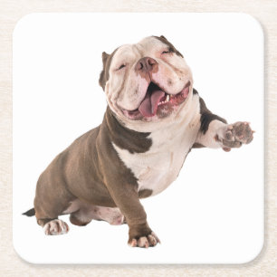 Schattige Engelse Bulldog Geschenken Puppy Hond Li Kartonnen Onderzetters