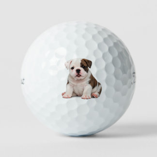 Schattige Engelse Bulldog Puppy Golfballen