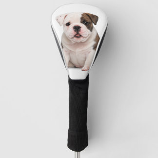 Schattige Engelse Bulldog Puppy Golfheadcover