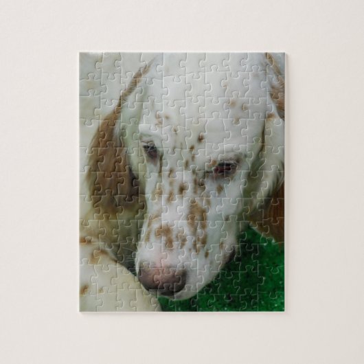 Schattige Engelse Setter Legpuzzel (Verticaal)