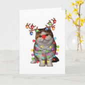 Schattige Exotische Korthaar Kat Grappig Kerst Ges Kaart (Gele Bloem)