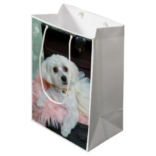 Schattige Fantasie Witte Hond Portret Foto Medium Cadeauzakje