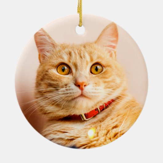 Schattige Farmhouse Calligraphy Pet Memorial Foto Keramisch Ornament (Achterkant)