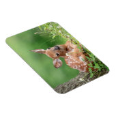 Schattige Fawn leg onder een boom Magneet (Rechterzijde)