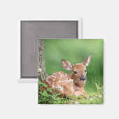 Schattige Fawn leg onder een boom Magneet (Voorkant / Achterkant)