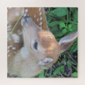 Schattige Fawn Legpuzzel (Horizontaal)