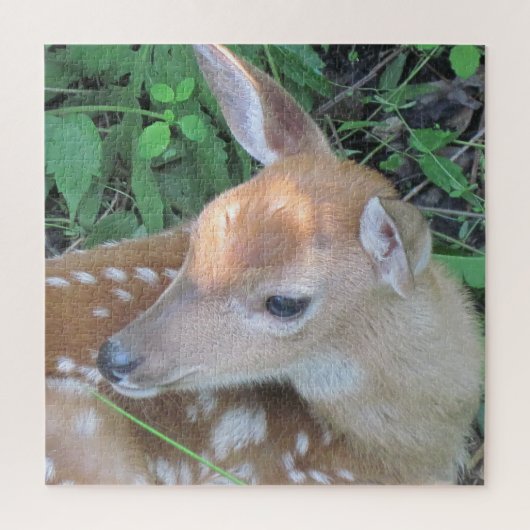 Schattige Fawn Legpuzzel (Verticaal)