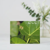 Schattige Florida Tiny baby Tree Frog Briefkaart (Staand voorkant)