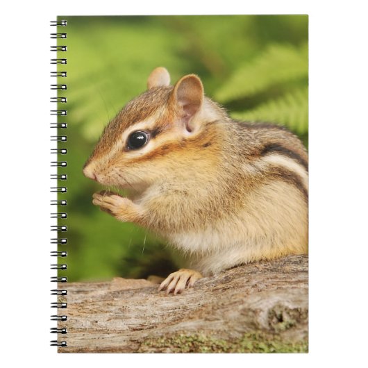 Schattige Fluffy Baby Chipmunk Notitieboek (Voorkant)