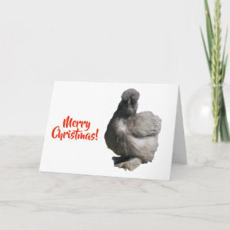 Schattige Fluffy Blauwe Zijdehoen Kerstmis Kaart