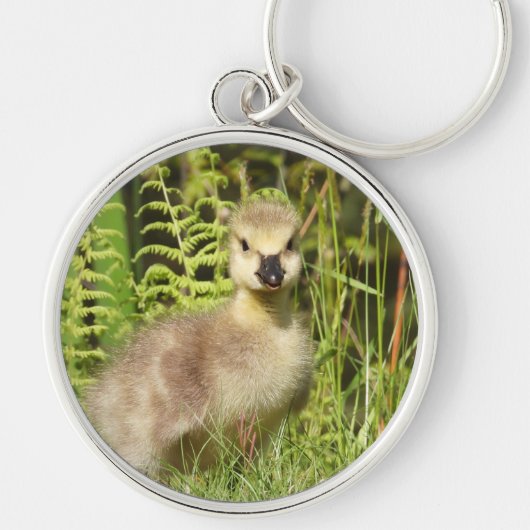 Schattige fluffy Gosling Sleutelhanger (Voorkant)
