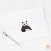 Schattige Fluffy Panda Beer Vierkante Sticker (Envelop)